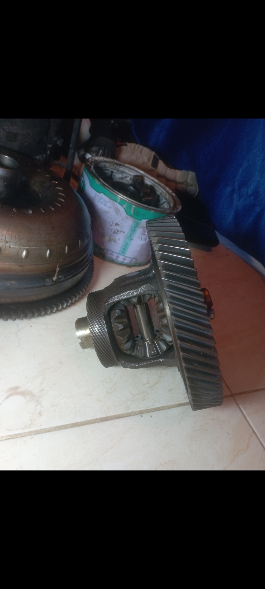 Differential unit